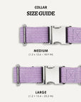 Lavender corduroy dog collar size comparison, Le Noof