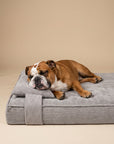 Grey corduroy orthopedic dog bed with an English bulldog, Le Noof