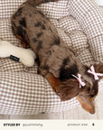 Cream White Boucle Bone Toy