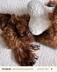 Cream White Boucle Bone Toy