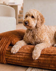 Tan Brown Flannel Orthopedic Dog Bed