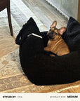 French Bulldog Black Teddy Car Bed