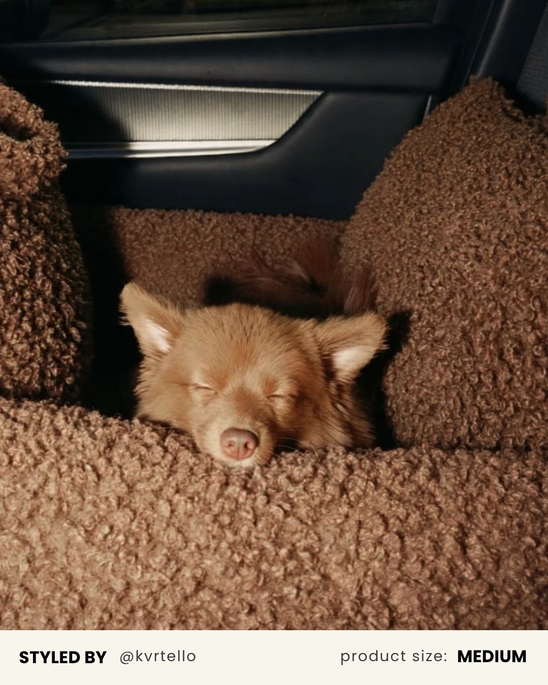Brown Teddy Car Dog Bed