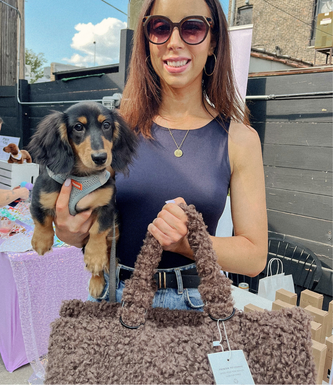 Brown Teddy Car Dog Bed