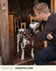 Brown Teddy Step-in Dog Harness