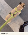 Light Green Teddy Dog Leash
