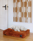 White dog lying on a Orange Fleece Premium Orthopedic Dog bed from Le Noof in living room