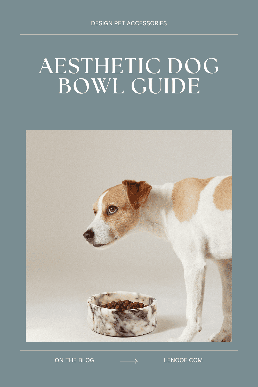 Aesthetic Dog Bowl blog post cover by Le Noof