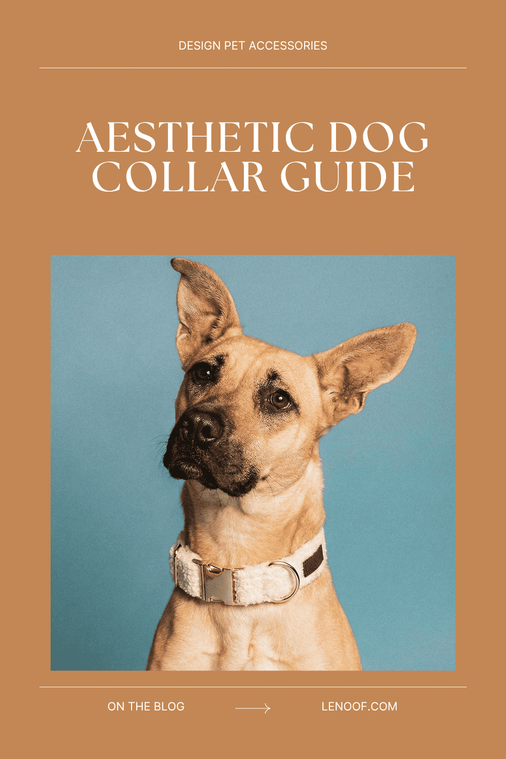 Aesthetic Dog Collar blog post cover by Le Noof