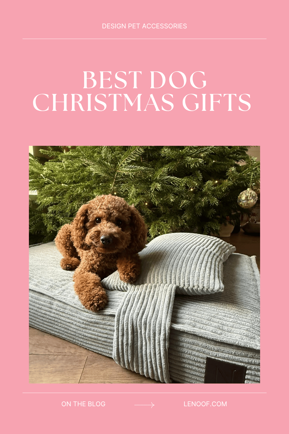 Best Dog Christmas Gifts: 12 Picks by Price