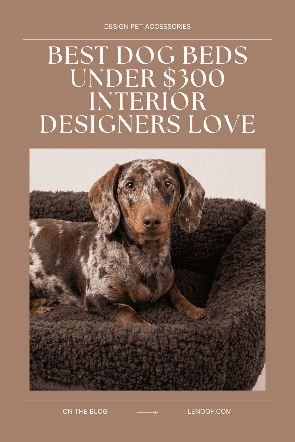 Best Dog Beds Under $300 Interior Designers Love