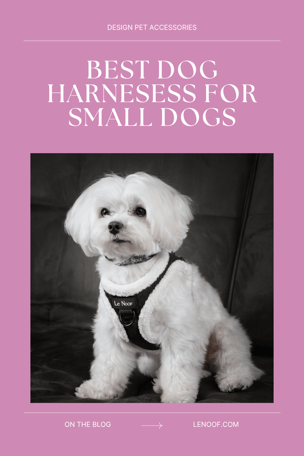 Best Dog Harnesess for Small Dogs - blog post cover by Le Noof