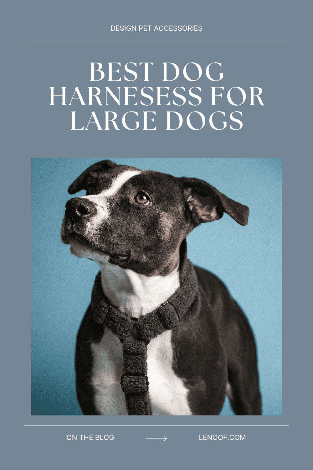 Best Dog Harness for Large Dogs - blog post cover by Le Noof