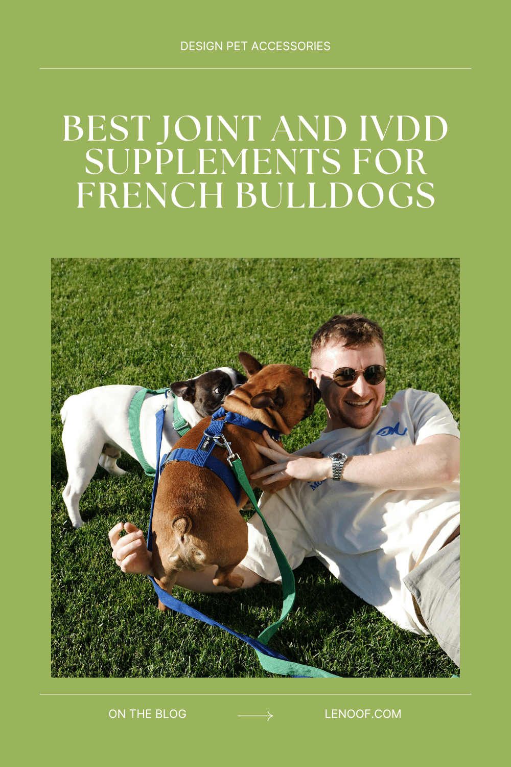 Best Joint and IVDD Supplements for French Bulldogs - blog post cover by Le Noof, blog written by certified vet