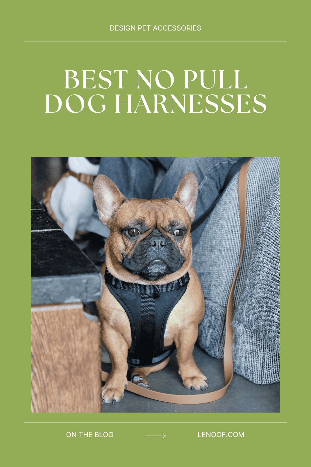 Best No Pull Dog Harnesses - blog post cover by Le Noof