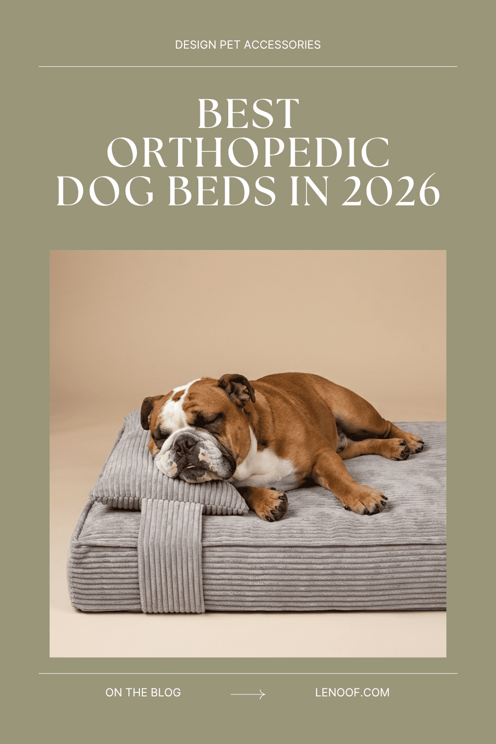 Best Orthopedic Dog Beds in 2026 - research blog post cover by Le Noof