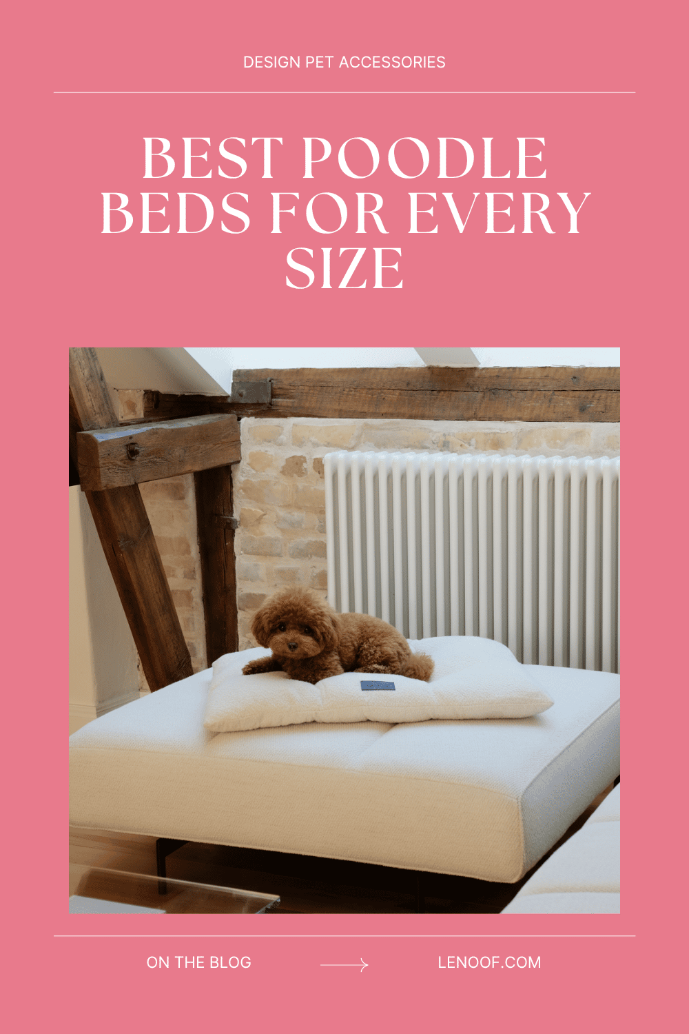 Best Poodle Beds for Every Size - blog post cover by Le Noof