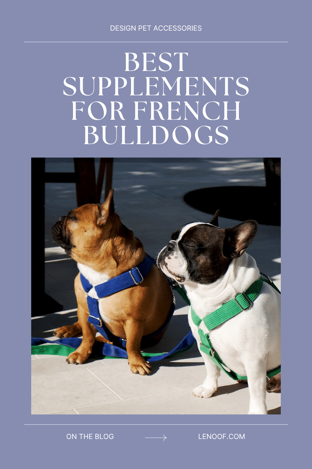 Best Supplements for French Bulldogs - blog post cover by Le Noof