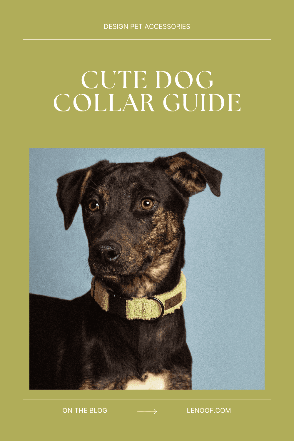 Cute Dog Collar - blog post cover by Le Noof