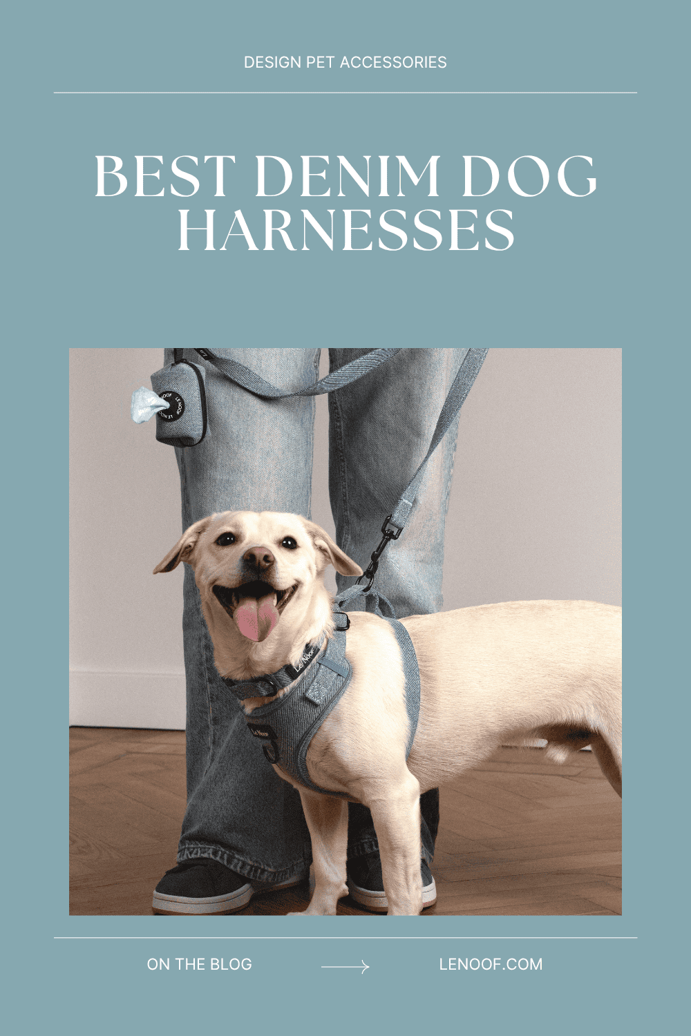 Denim Dog Harness - blog post cover by Le Noof
