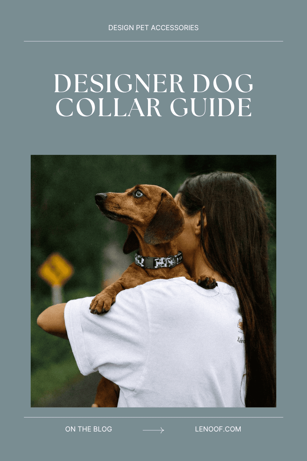 Designer Dog Collars - blog post cover by Le Noof