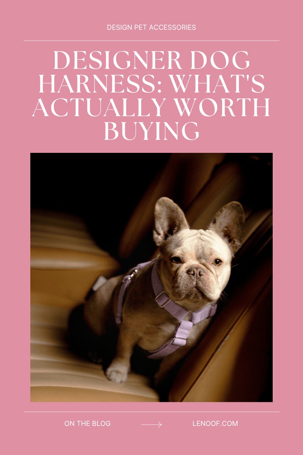 Designer Dog Harness: What's Actually Worth Buying (And What's Just Marketing) - Le Noof's blog post cover