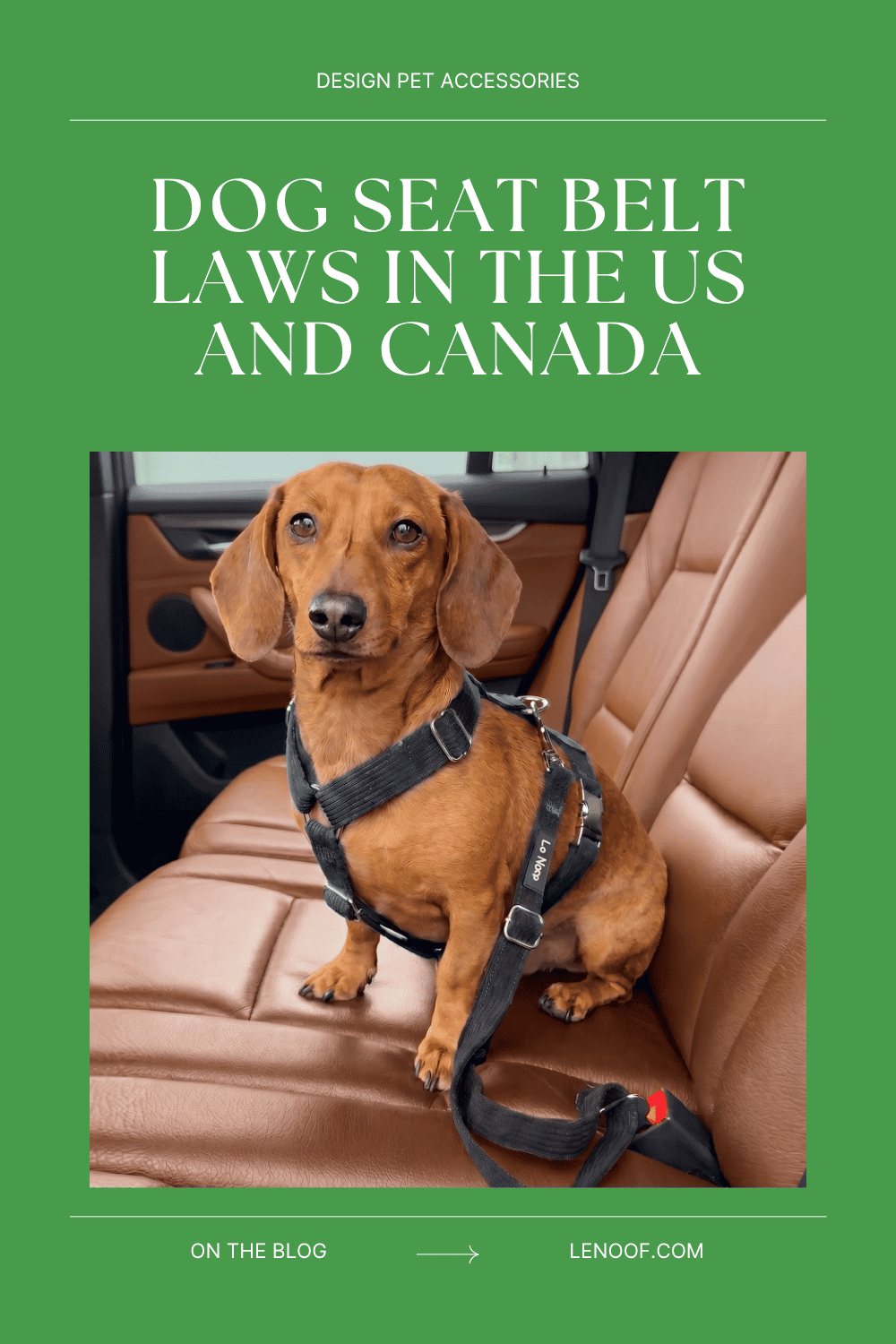 Dog Seat Belt Laws in the US and Canada - blog post by Le Noof
