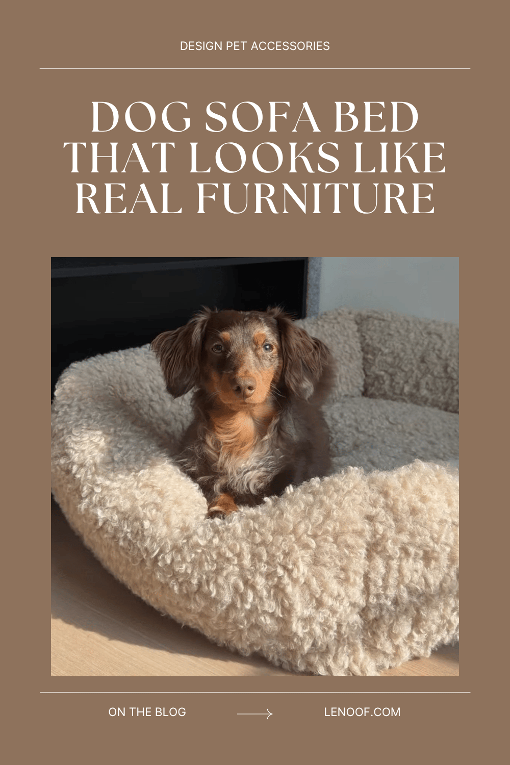Dog Sofa Bed That Looks Like Real Furniture - blog post cover of a dachshund dog laying in beige teddy sofa dog bed