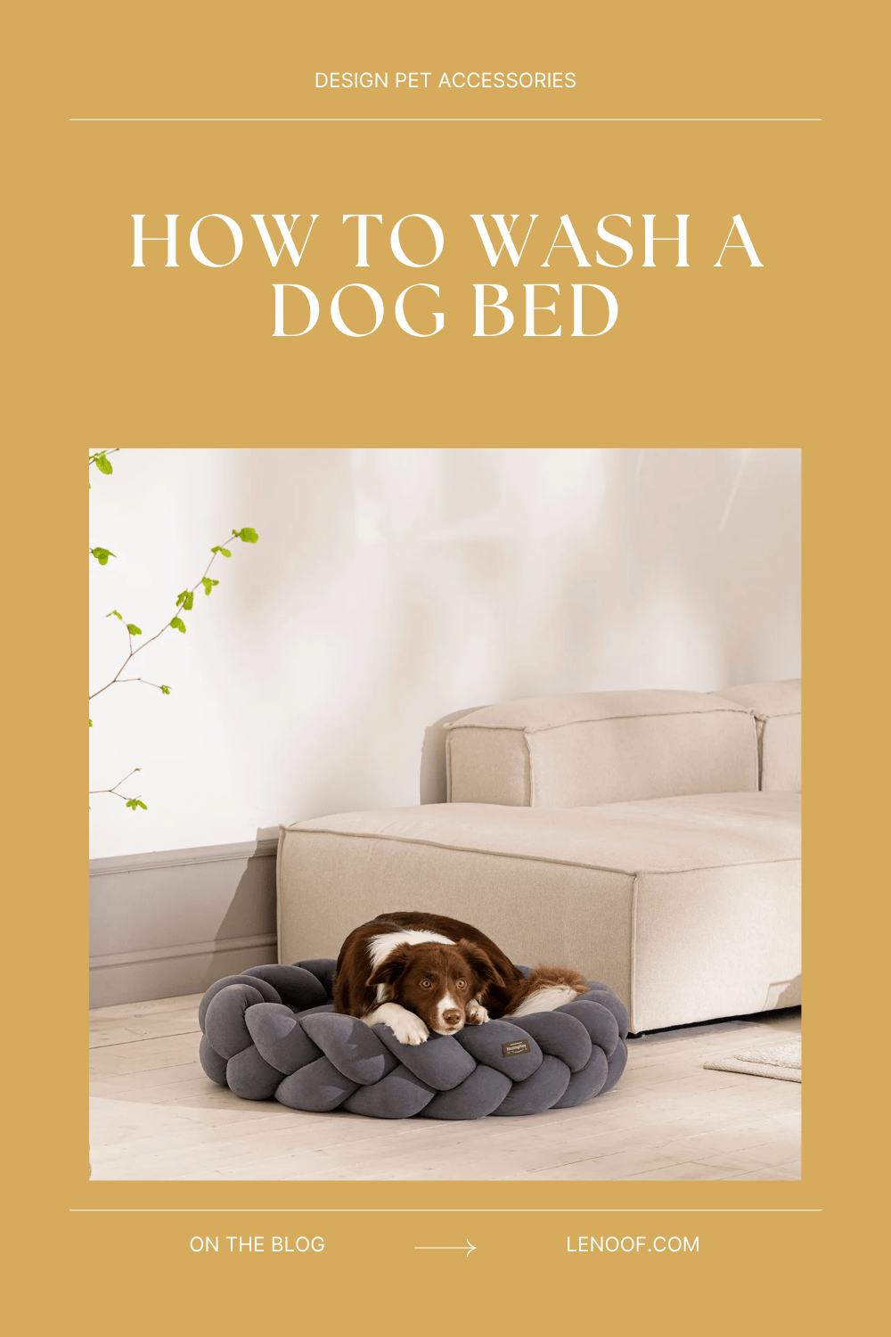 How to wash a dog bed blog post cover by Le Noof