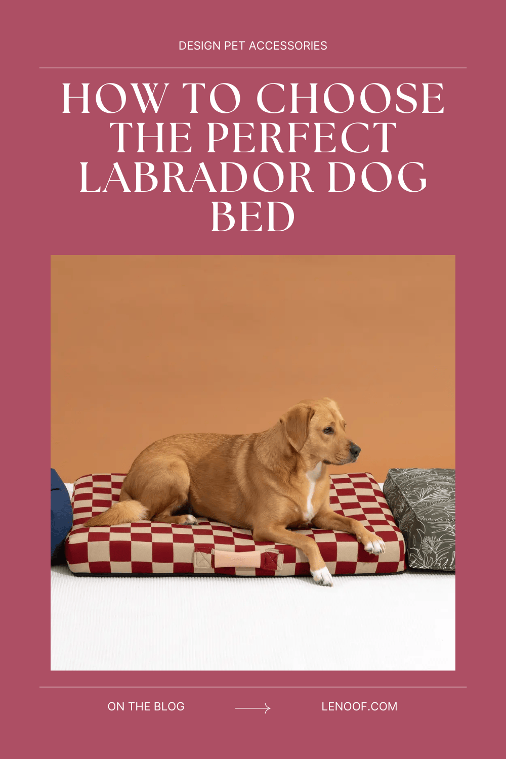 How to choose the perfect labrador dog bed size blog post cover by Le Noof