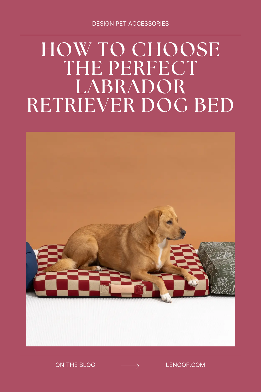 How to choose the perfect labrador retriever dog bed size blog post cover by Le Noof