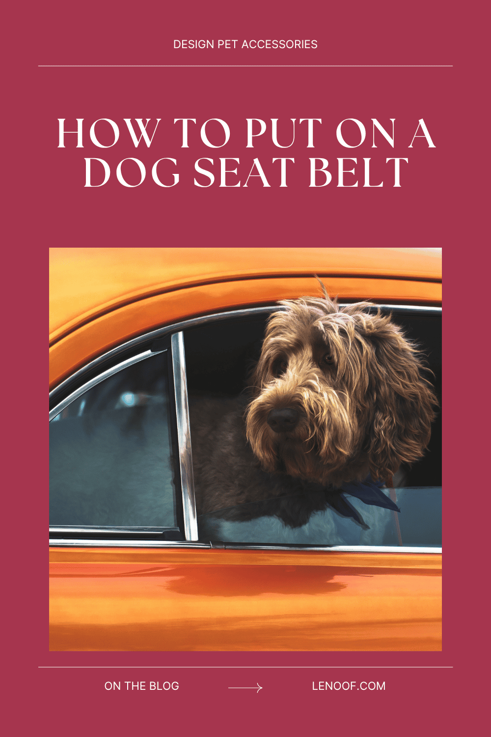 How to Put On a Dog Seat Belt - blog post cover by Le Noof