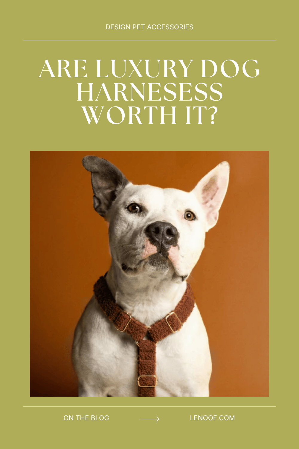 Is a Luxury Dog Harness Worth It - blog post cover by Le Noof