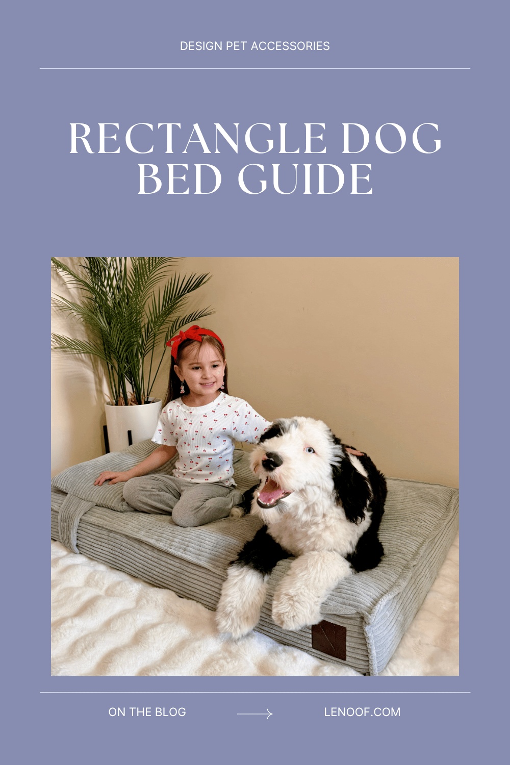 Rectangle Dog Bed: The Best Picks for Dogs Who Stretch Out - blog post cover by Le Noof