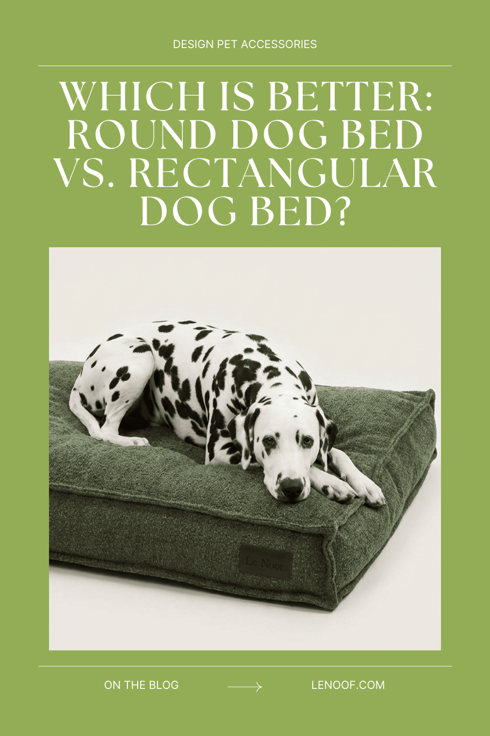 dog laying in green boucle rectangular dog bed from Le Noof on white background, studio photo