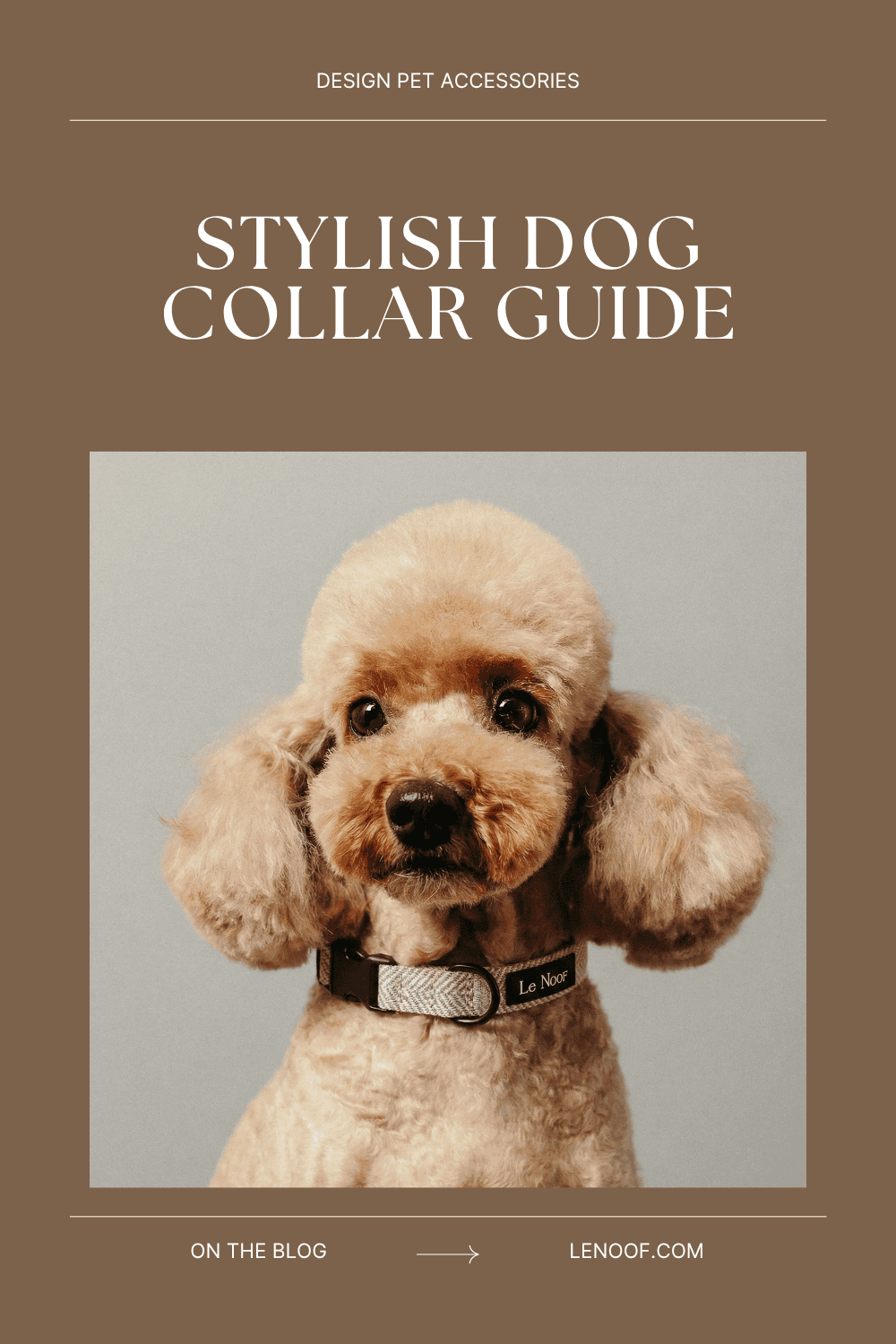 Stylish Dog Collars - blog post cover by Le Noof