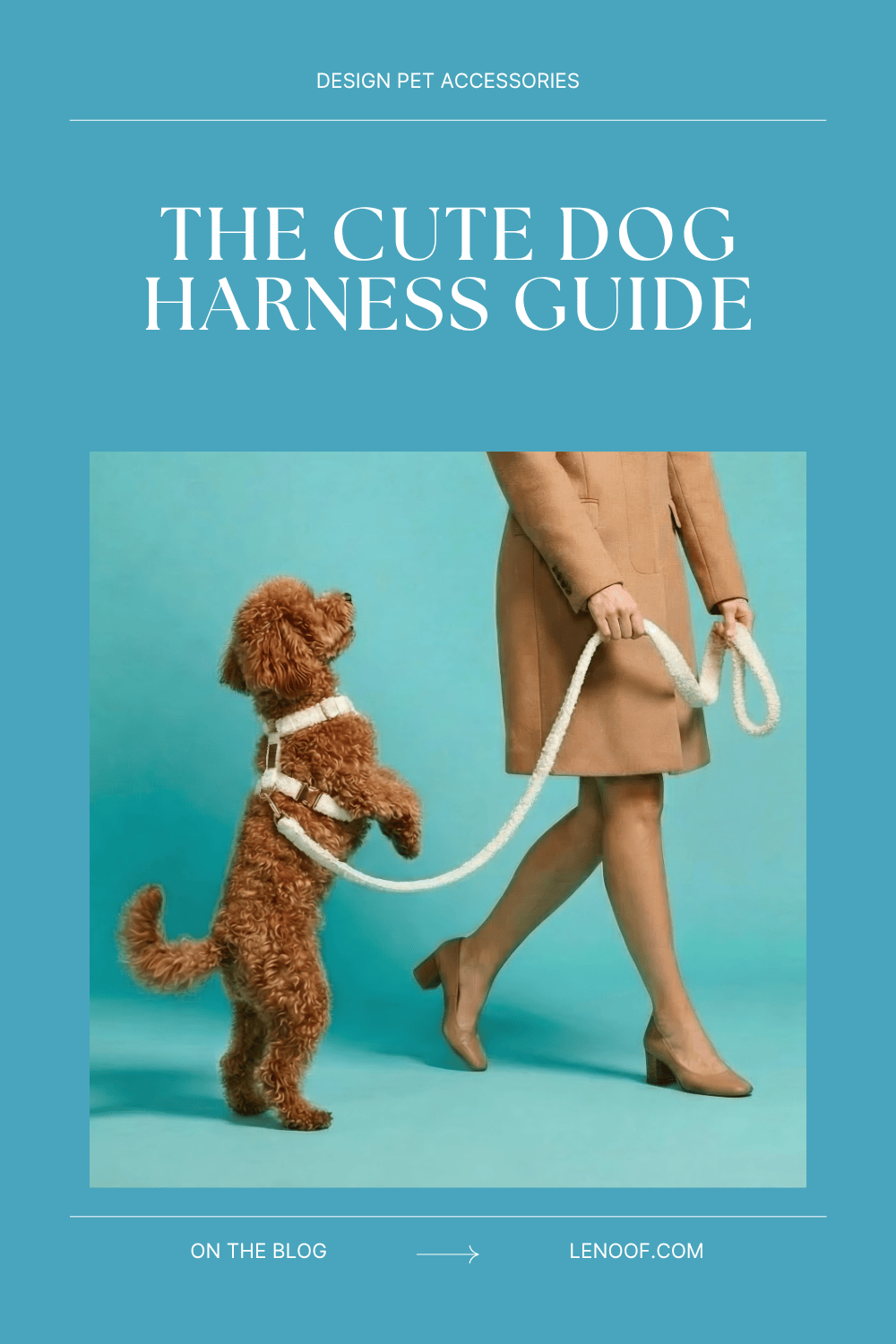 Cute Dog Harness: What Actually Makes One Worth Buying