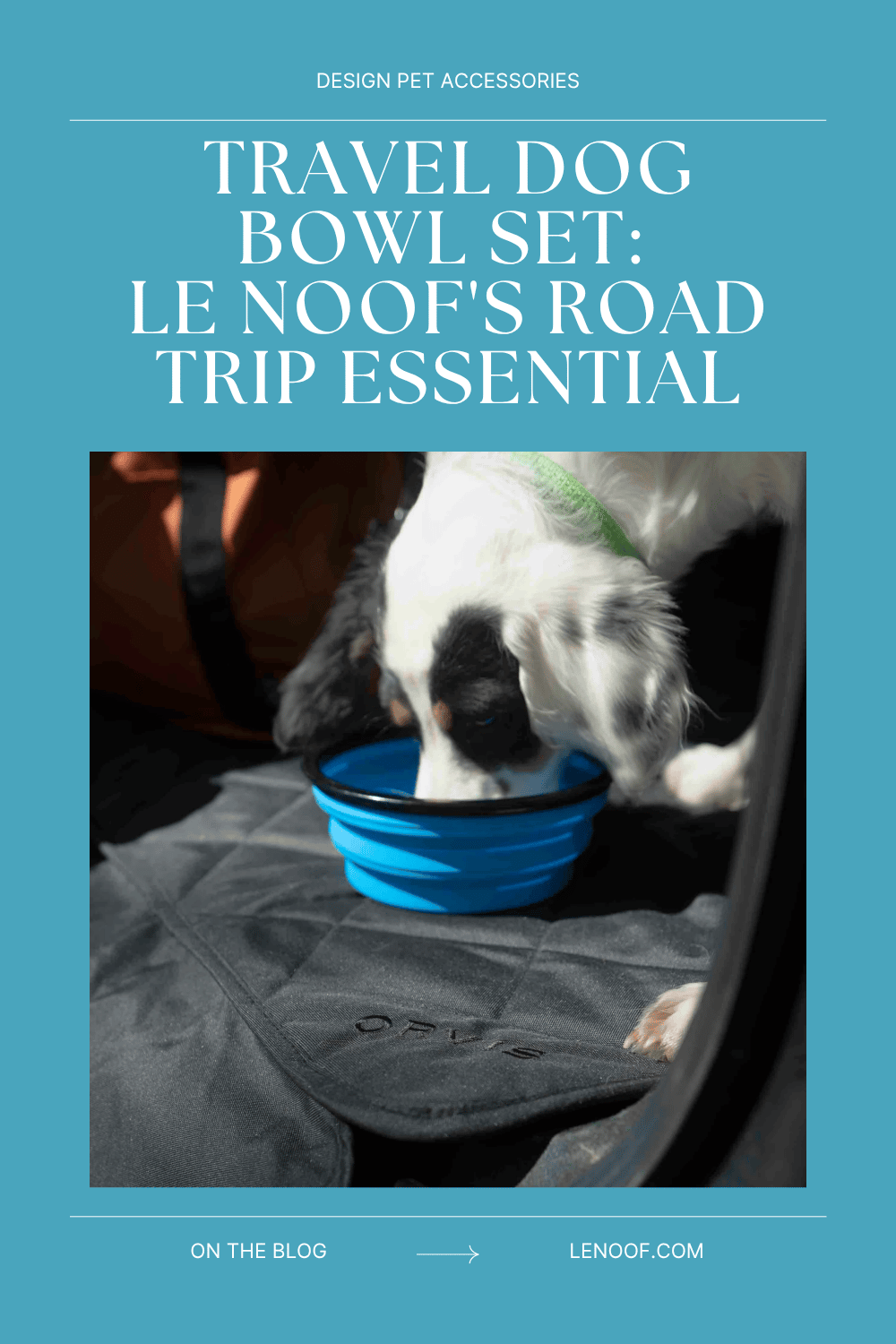 Travel dog bowl blog post cover by Le Noof