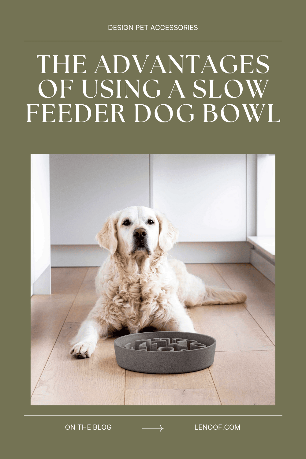 advantages of using slow feeder dog bowl blog post by le noof
