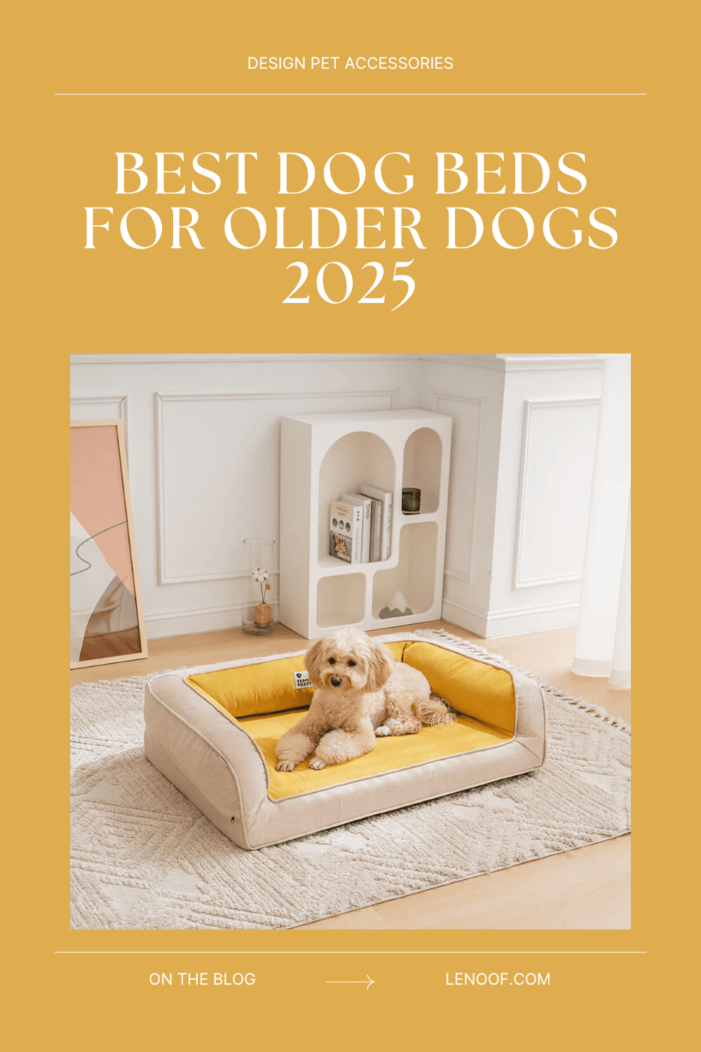 best dog beds for older dogs blog post cover by le noof