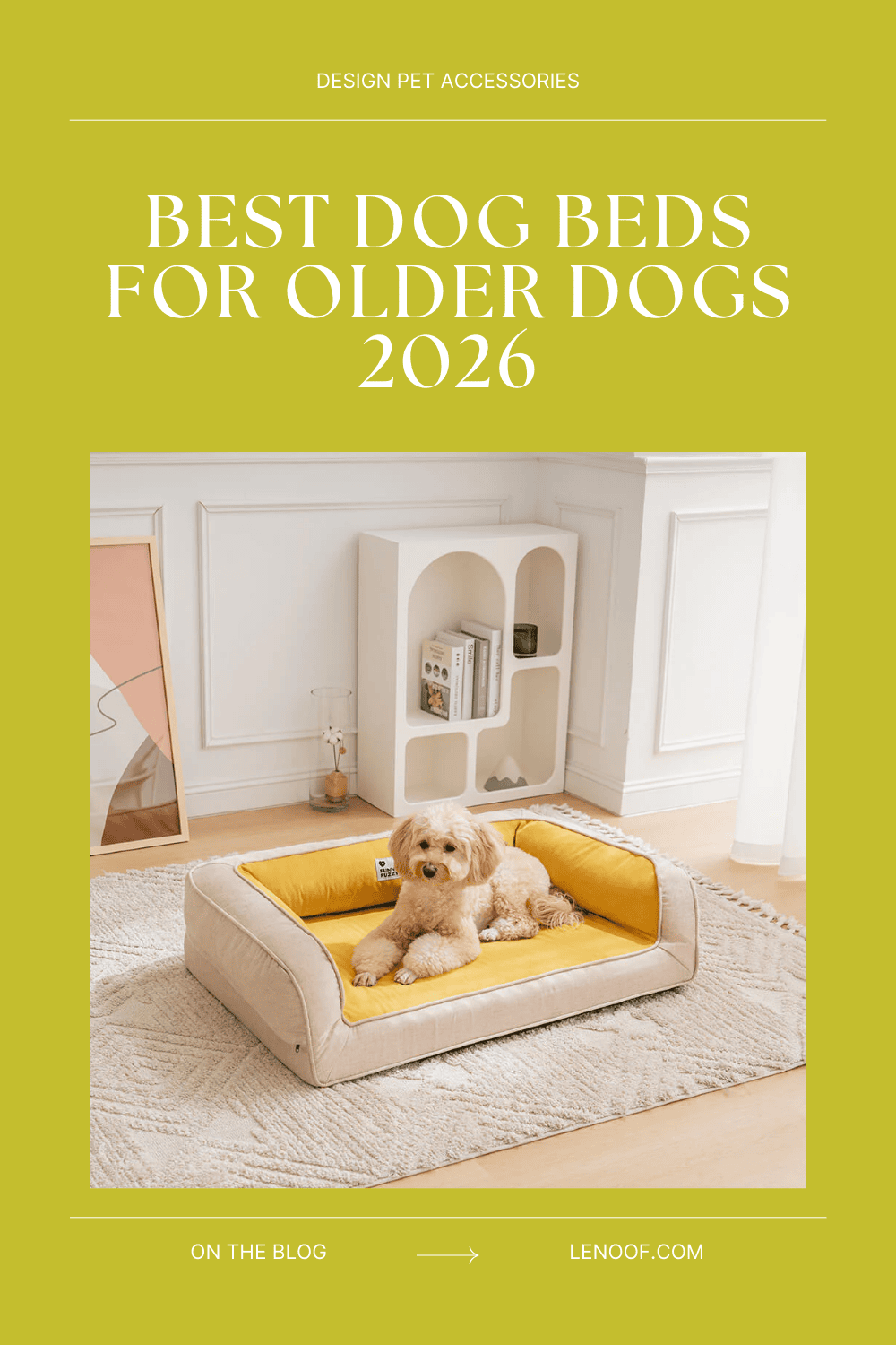 best dog beds for older dogs blog post cover by le noof