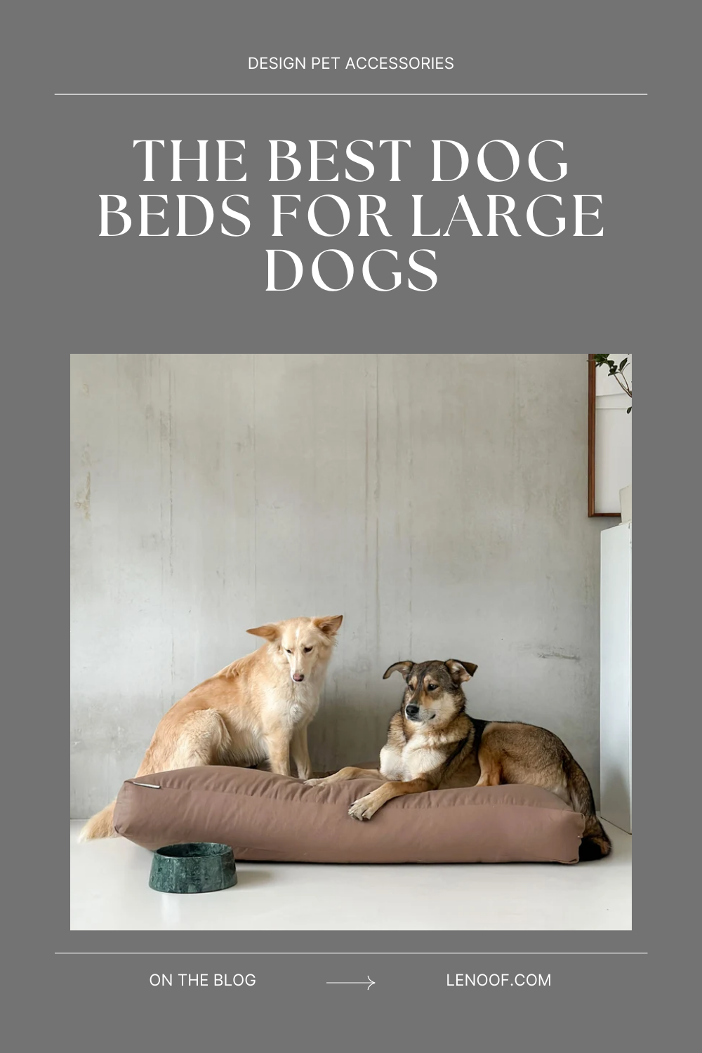 Best dog beds for large dogs blog post cover with two dogs sitting on a bed with a dog bowl next to them