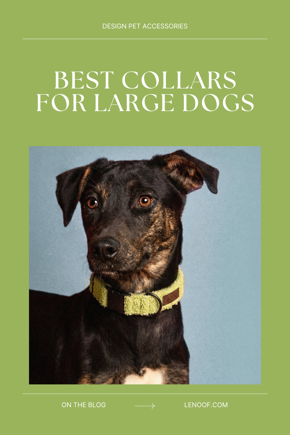 Best dog collars for large dogs - blog post cover made by Le Noof