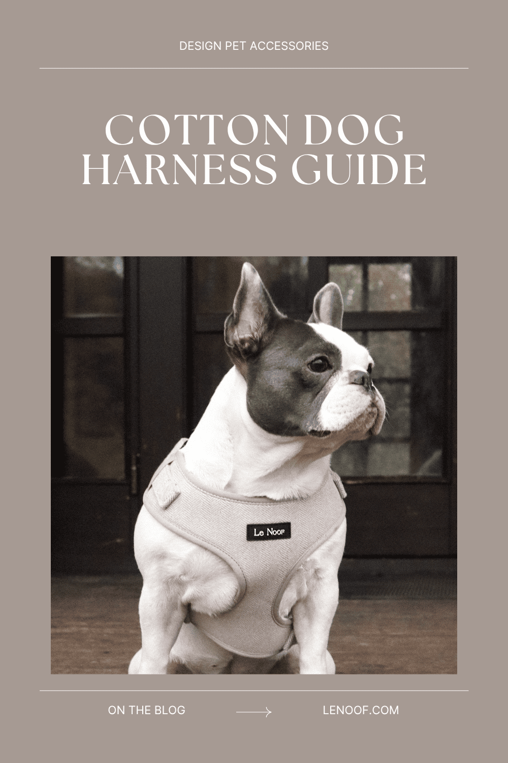 Cotton dog harness blog post cover by Le Noof