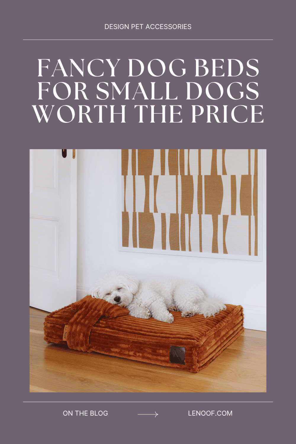 Fancy dog beds - blog post cover by Le Noof