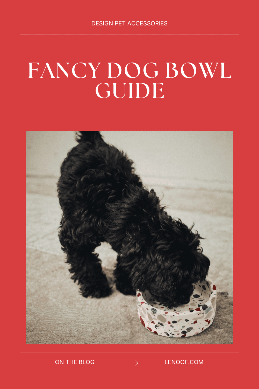 Fancy dog bowl blog post cover by Le Noof