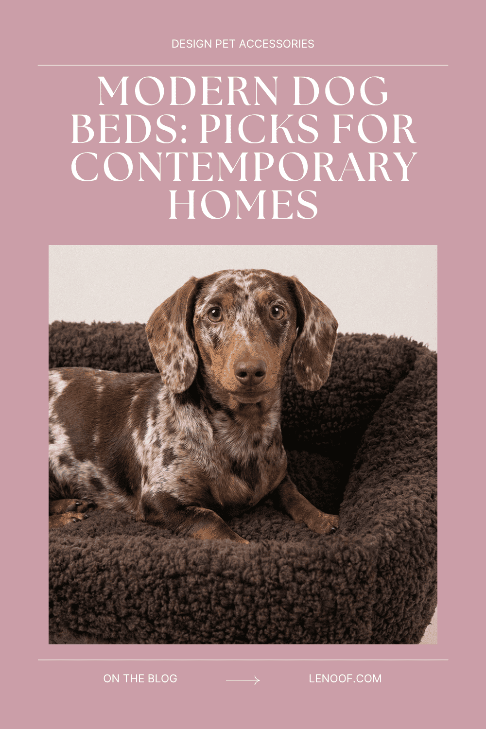 Modern dog beds - blog post cover by Le Noof