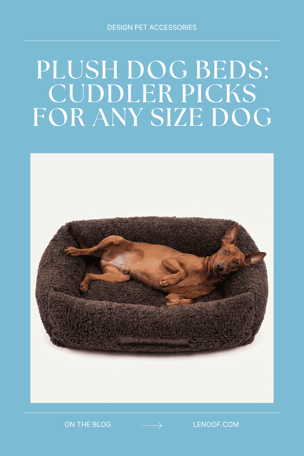Plush Dog Beds blog post cover by Le Noof