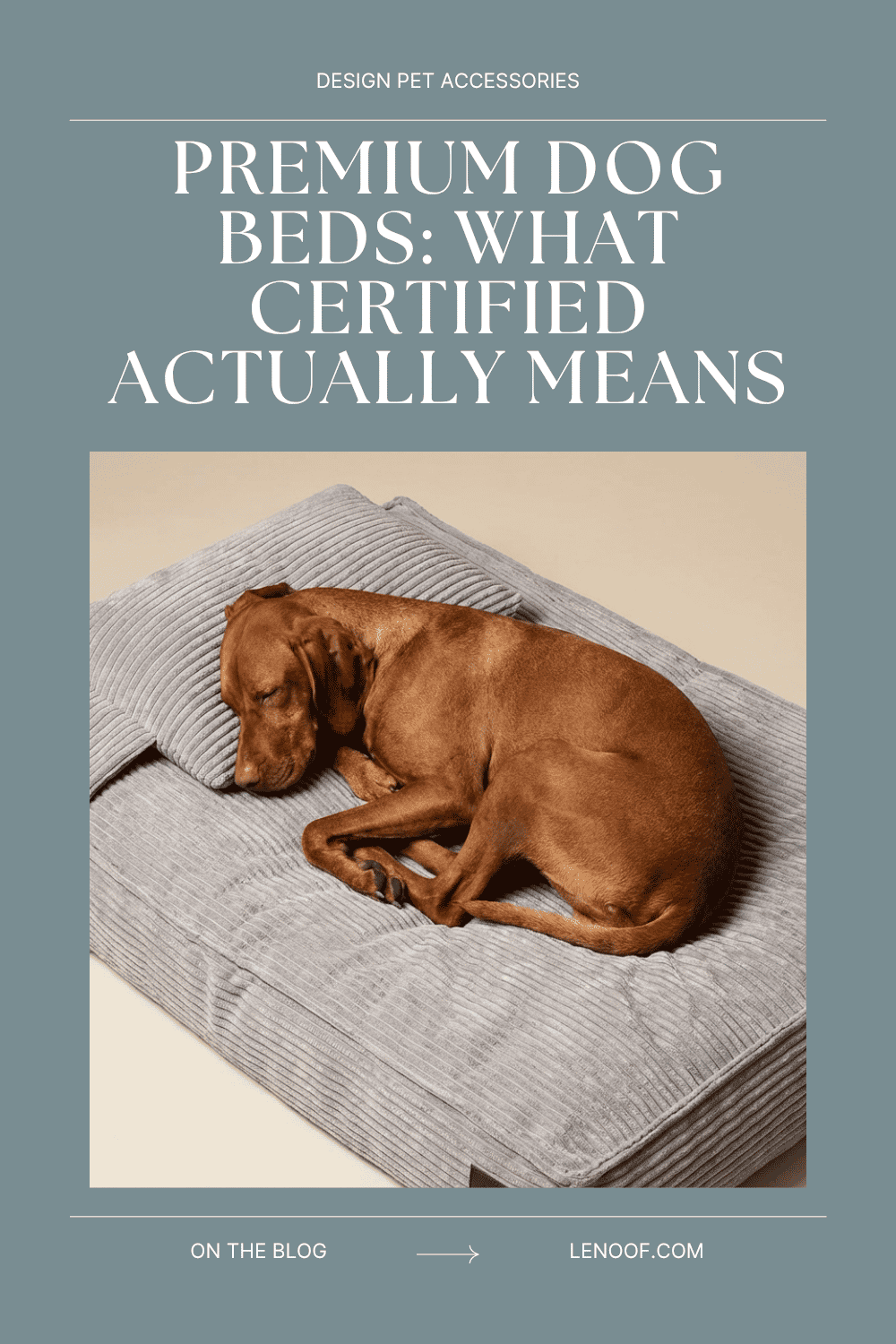 Premium dog beds, blog post cover by Le Noof
