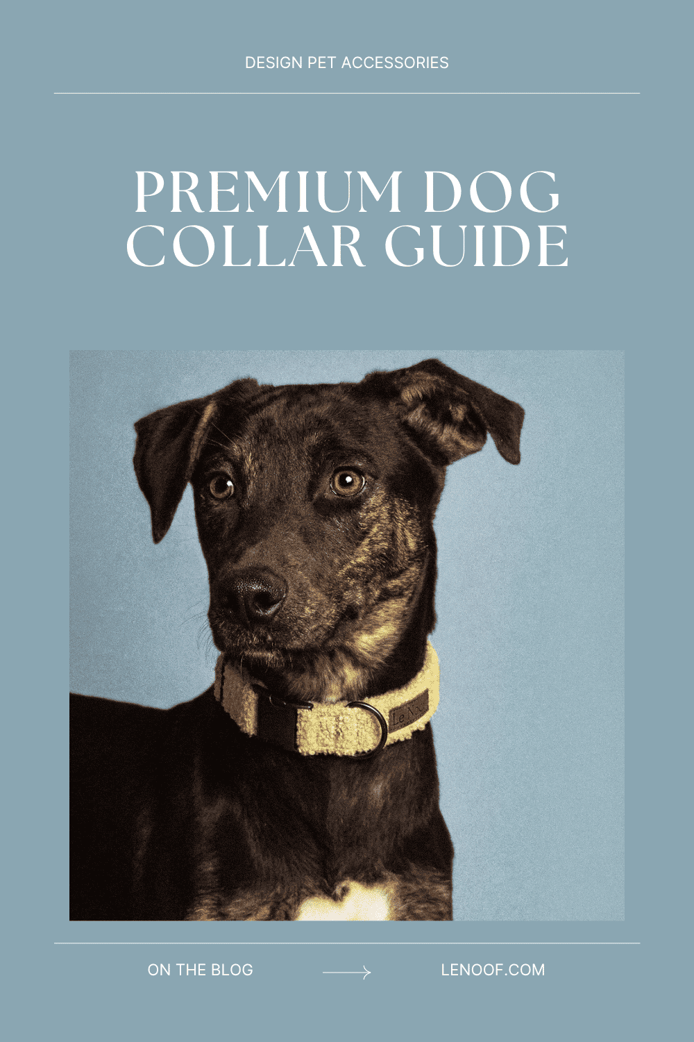 Premium dog collar guide, blog post cover by Le Noof